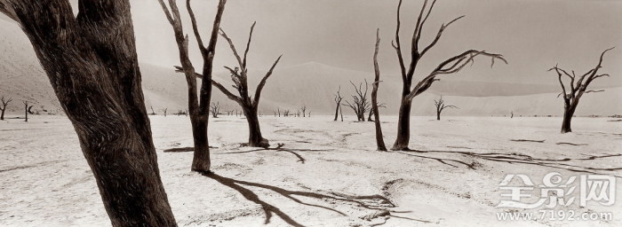 优秀全景摄影作品欣赏图片 全景摄影作品分析