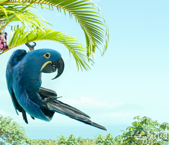 动物摄影照片 动物摄影背后的真相