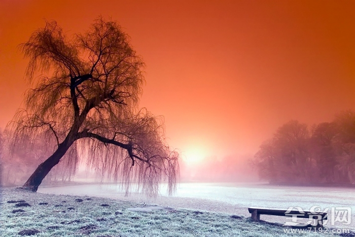 幽静绚烂的 风光摄影作品欣赏图片 幽静的风景视频图2