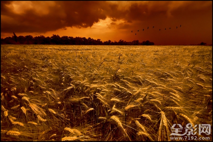 幽静绚烂的 风光摄影作品欣赏图片 幽静的风景视频图3