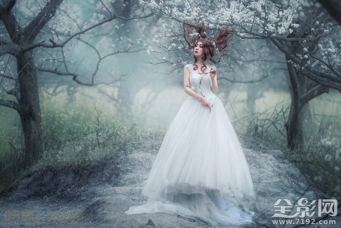 解语花的真正意思是什么 解语花百度百科图1