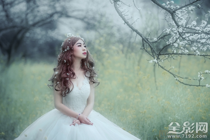 解语花的真正意思是什么 解语花百度百科图3