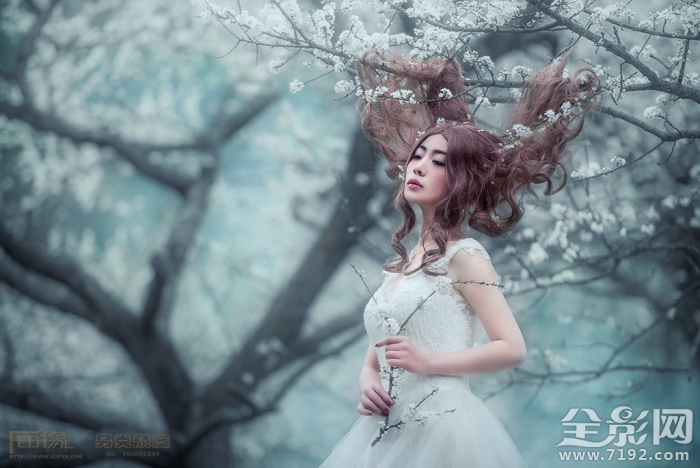 解语花的真正意思是什么 解语花百度百科图2