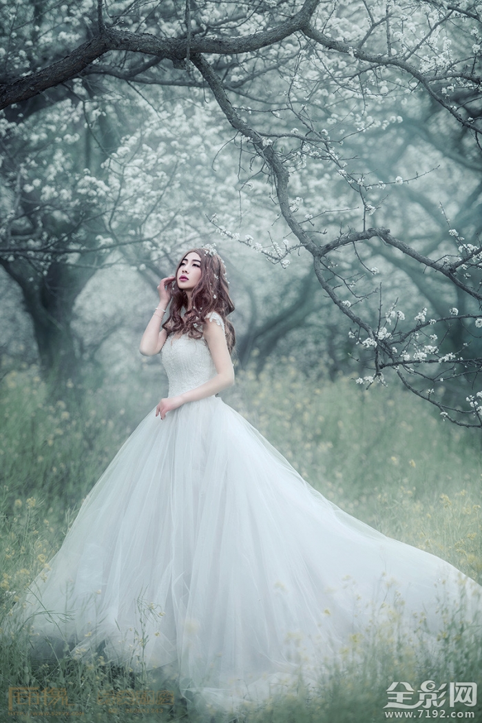 解语花的真正意思是什么 解语花百度百科