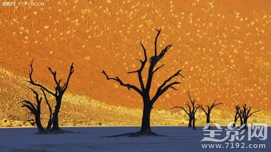 摄影师油画人像作品 摄影作品画成油画侵权吗图1