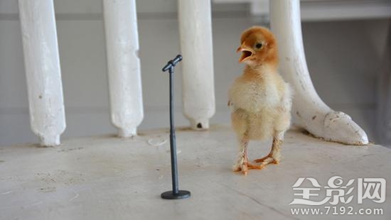 2017国家地理摄影大赛获奖作品 2019地理摄影大赛