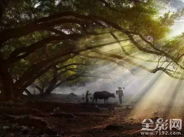 当古诗遇上摄影怎么办 当诗词遇上音乐