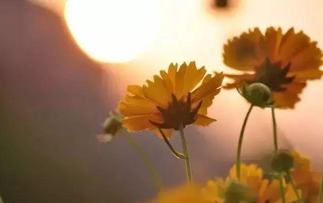 摄影师拍照技巧 摄影入门大全-教你拍出惊人之作图3