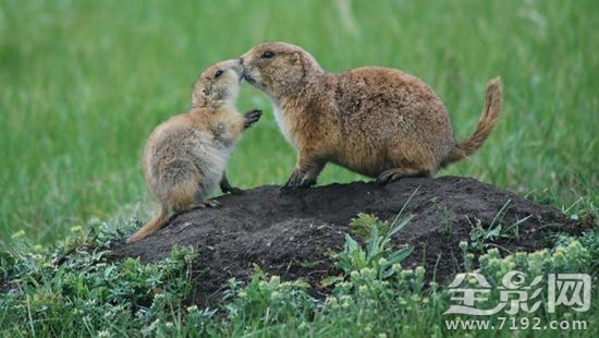 2017国家地理摄影大赛获奖作品 2019地理摄影大赛