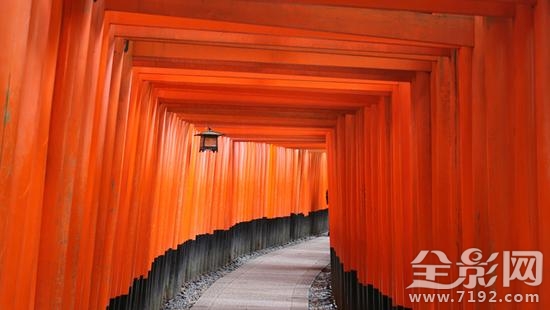 2017国家地理摄影大赛获奖作品 2019地理摄影大赛