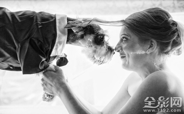 亚洲婚礼摄影师协会 asia国际摄影比赛