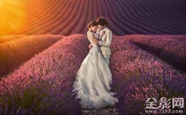 亚洲婚礼摄影师协会 asia国际摄影比赛