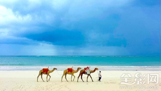 2017国家地理摄影大赛获奖作品 2019地理摄影大赛