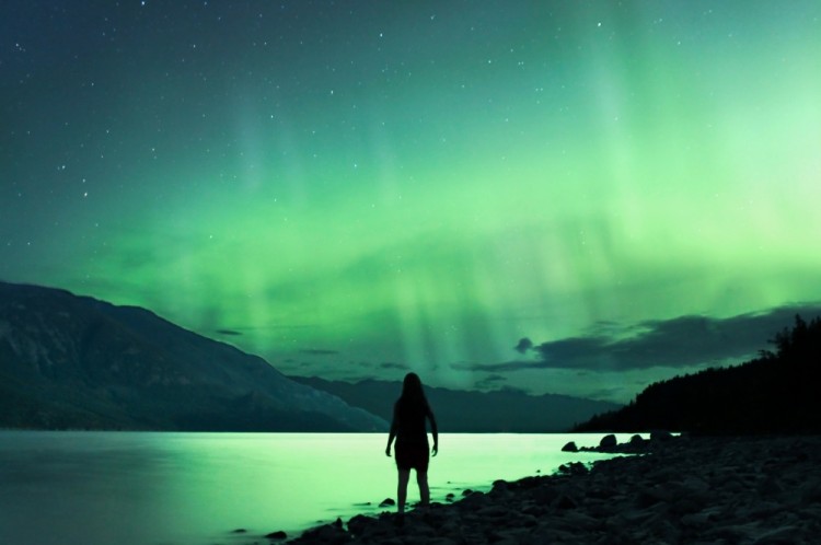 生长于山峦海洋之间的植物 生长于海洋的植物