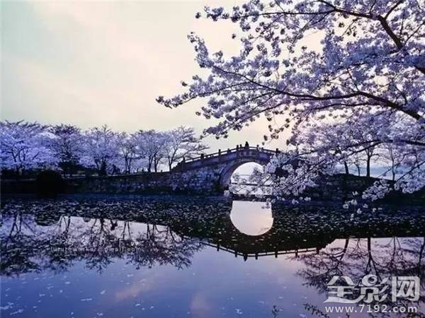 当古诗遇上摄影怎么办 当诗词遇上音乐