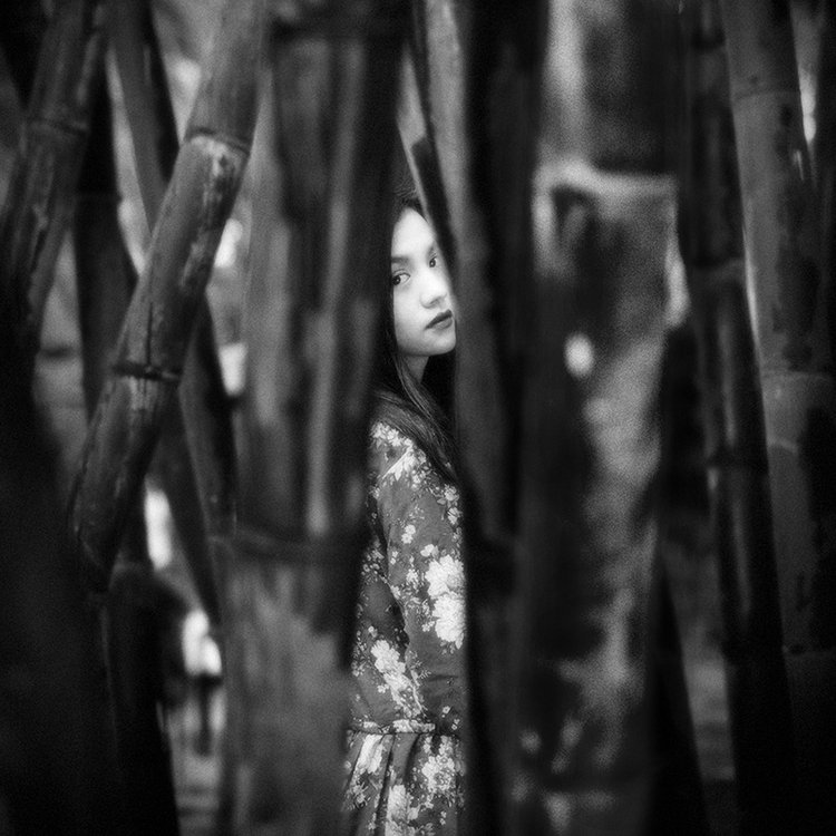 那些年我拍过的女神小说 那些年我拍过的女孩