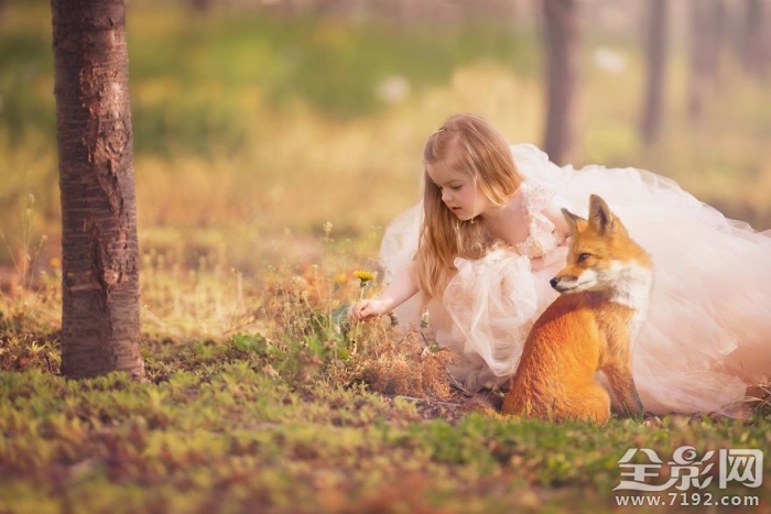 与动物相伴 动物与儿童唯美相遇图1