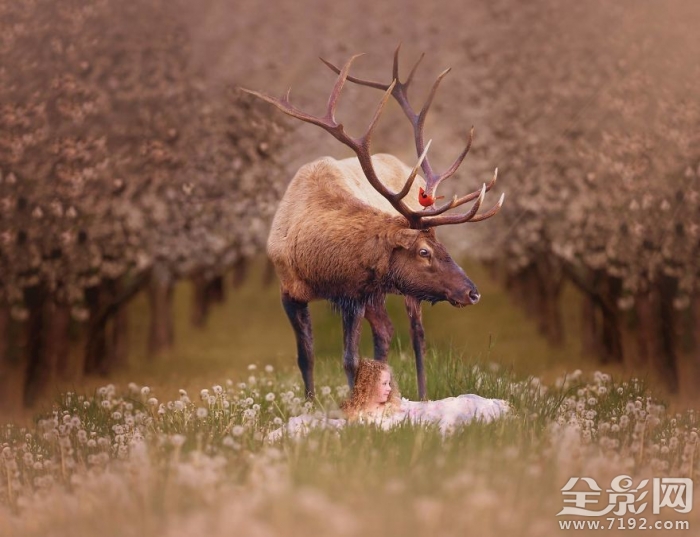 与动物相伴 动物与儿童唯美相遇图3