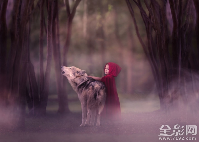 与动物相伴 动物与儿童唯美相遇