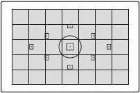 拍摄逆光人像技巧 拍摄逆光人像时应该注意哪些问题