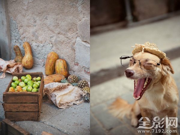 哈瓦那风情小镇 哈瓦那 mv图3