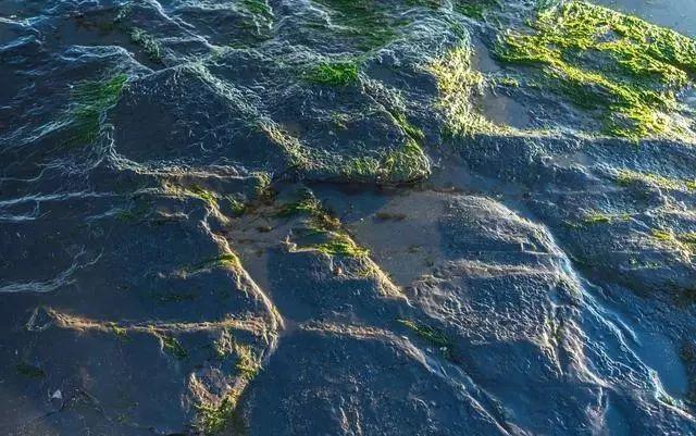 摄影选景构图小技巧有哪些 选景构图要掌握哪些知识-图3