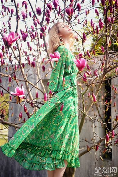 春光玉兰花摄影作品 春兰玉涛简介图1