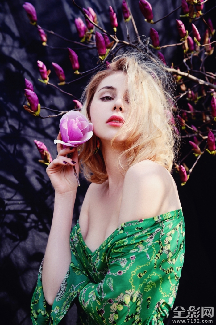 春光玉兰花摄影作品 春兰玉涛简介