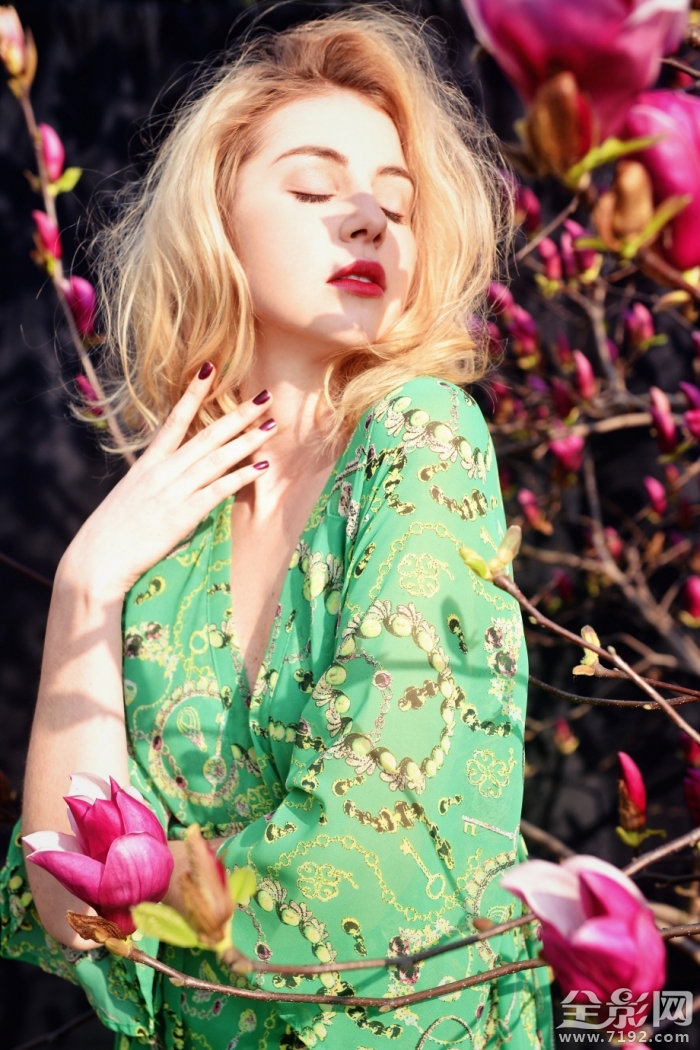 春光玉兰花摄影作品 春兰玉涛简介