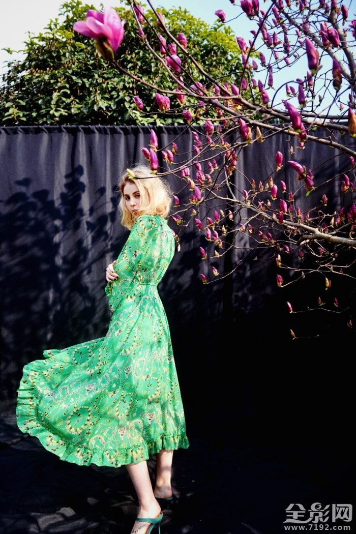 春光玉兰花摄影作品 春兰玉涛简介