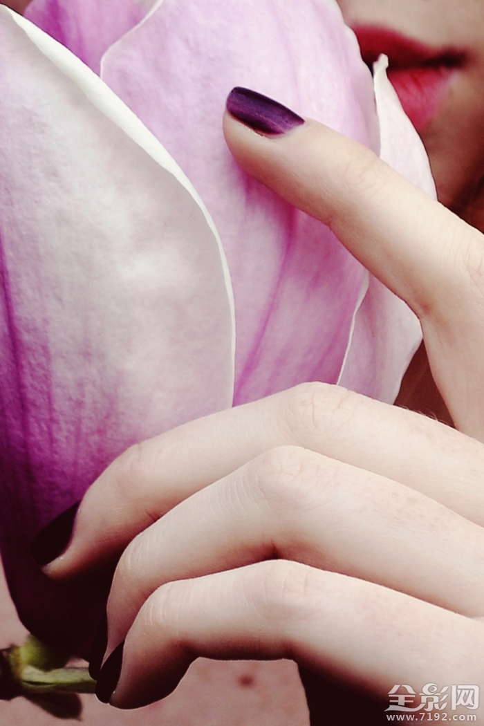 春光玉兰花摄影作品 春兰玉涛简介