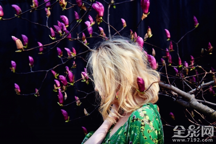 春光玉兰花摄影作品 春兰玉涛简介