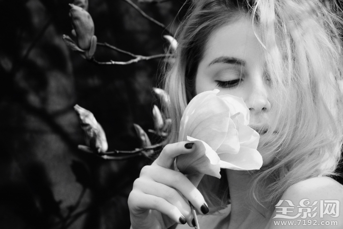 春光玉兰花摄影作品 春兰玉涛简介