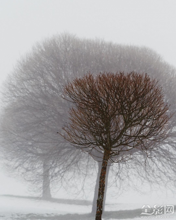 风光摄影师ling 世界顶级风光摄影大师图1
