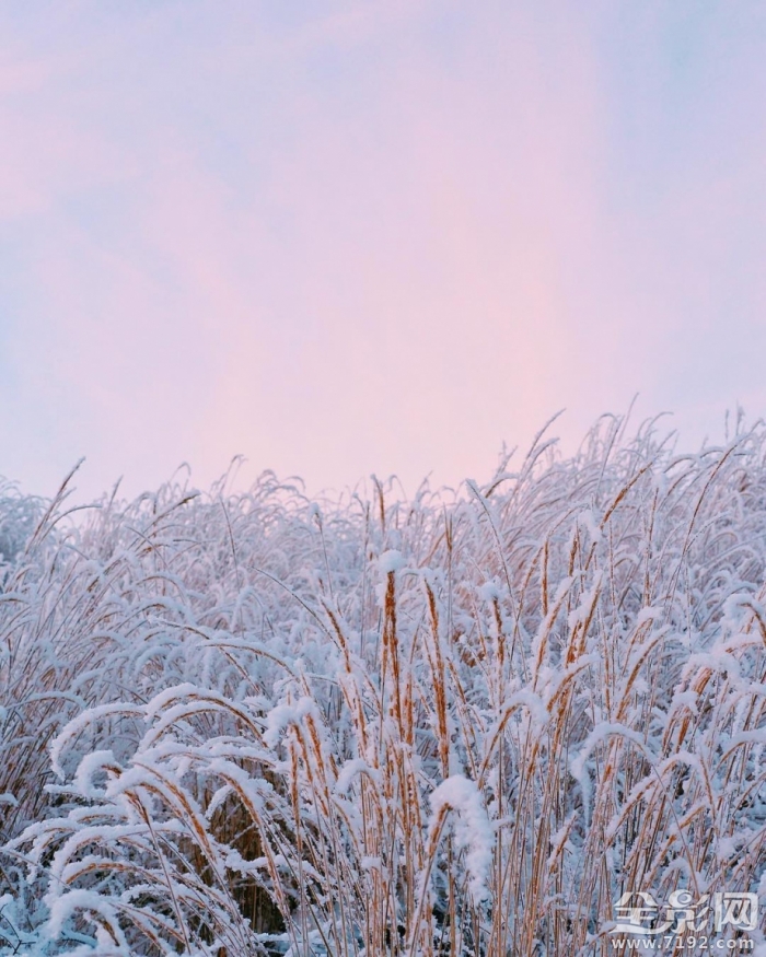 风光摄影师ling 世界顶级风光摄影大师