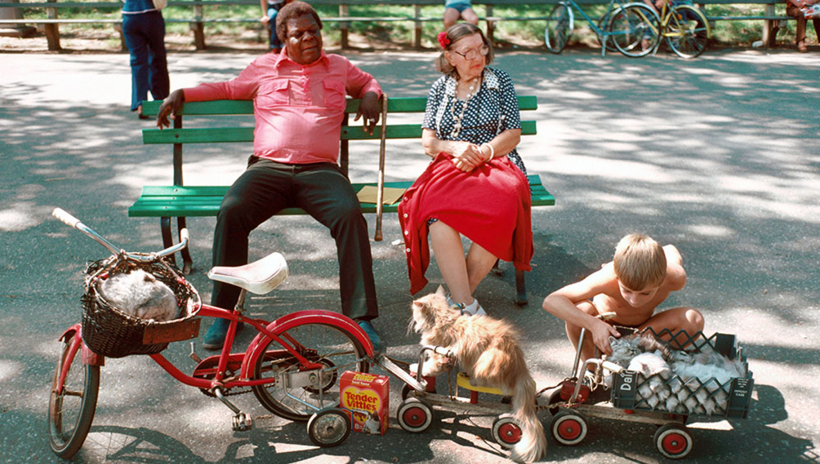 70年代纽约夜景 70年前的纽约