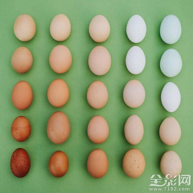 渐变色手机有哪些 渐变色手机背景图图1