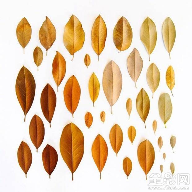 渐变色手机有哪些 渐变色手机背景图