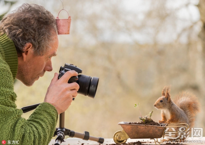 瑞士松鼠小径 德国小松鼠