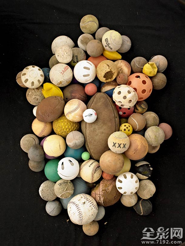 环保公益摄影创作说明 环保摄影作品展