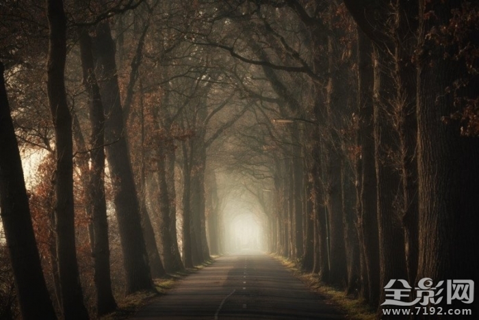 森林漫步 森林漫步简谱图2