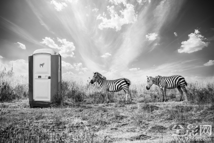 人和动物共处的世界有哪些 人和动物共生存图2