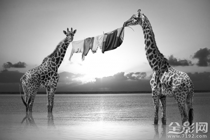 人和动物共处的世界有哪些 人和动物共生存