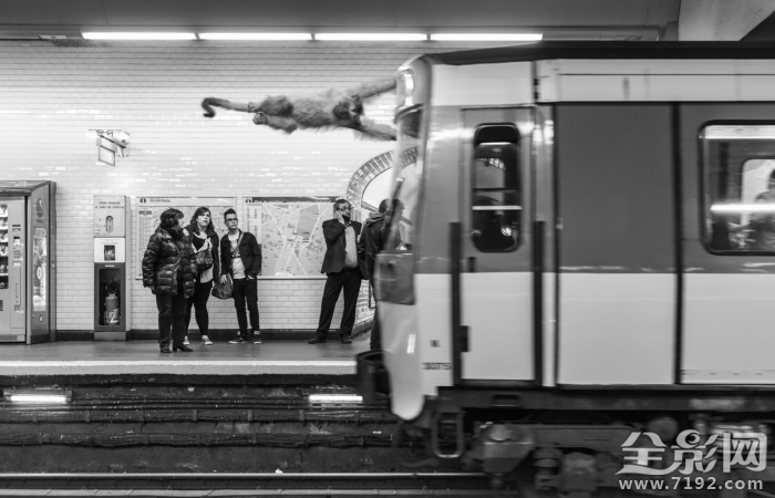 人和动物共处的世界有哪些 人和动物共生存