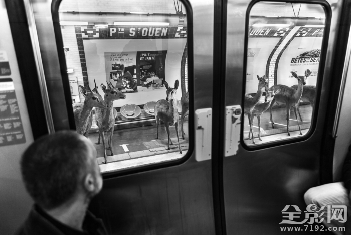 人和动物共处的世界有哪些 人和动物共生存