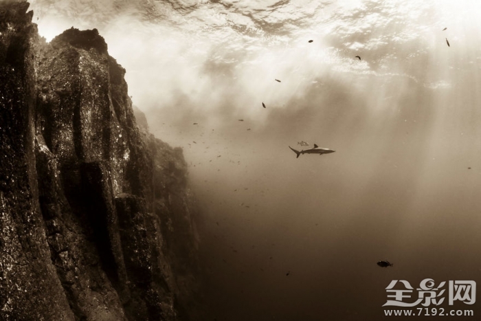 2017索尼世界摄影奖入围作品欣赏图 2019索尼世界摄影大赛获奖作品