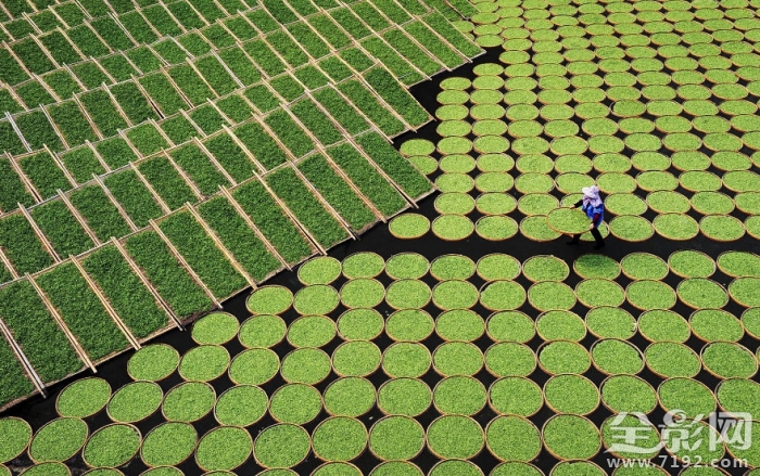 2017索尼世界摄影奖入围作品欣赏图 2019索尼世界摄影大赛获奖作品