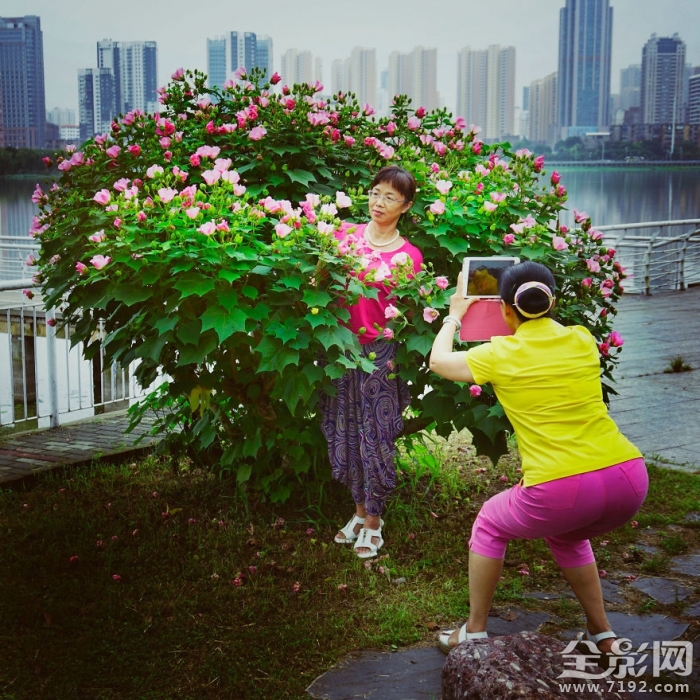 2017索尼世界摄影奖入围作品欣赏图 2019索尼世界摄影大赛获奖作品