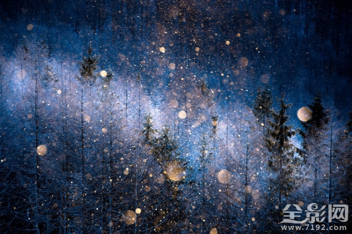 2017索尼世界摄影奖入围作品欣赏图 2019索尼世界摄影大赛获奖作品