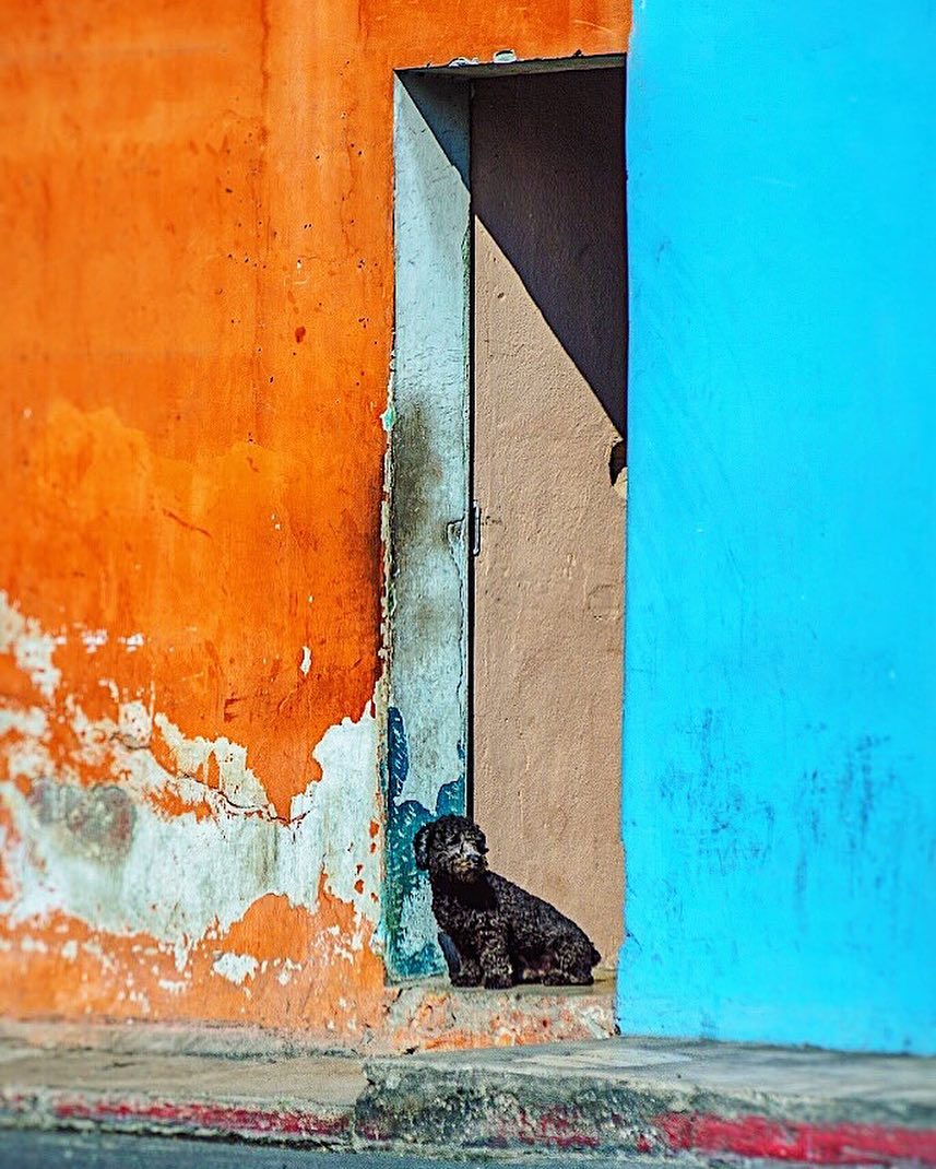 生活中的色彩现象 生活中的色彩是怎样形成的图2